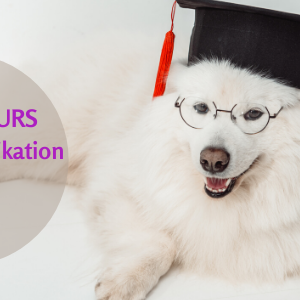 Akademie Masterkurs Tierkommunikation