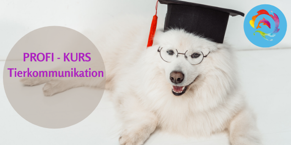 Akademie Masterkurs Tierkommunikation