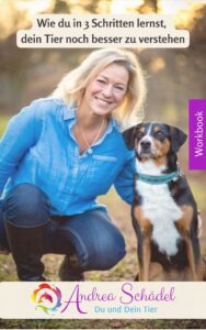 Ebook 3 Schritte NEU